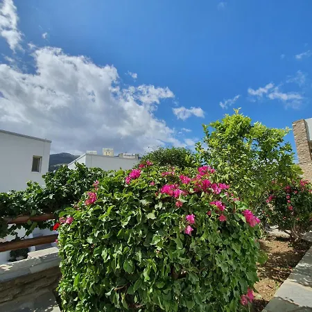 Karaoulanis * Ándros