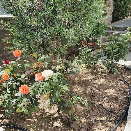 Apartment Karaoulanis